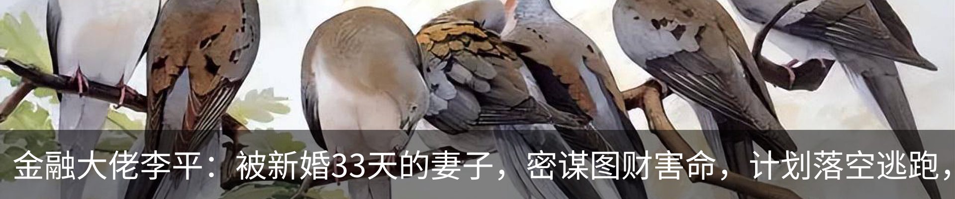 内页banner